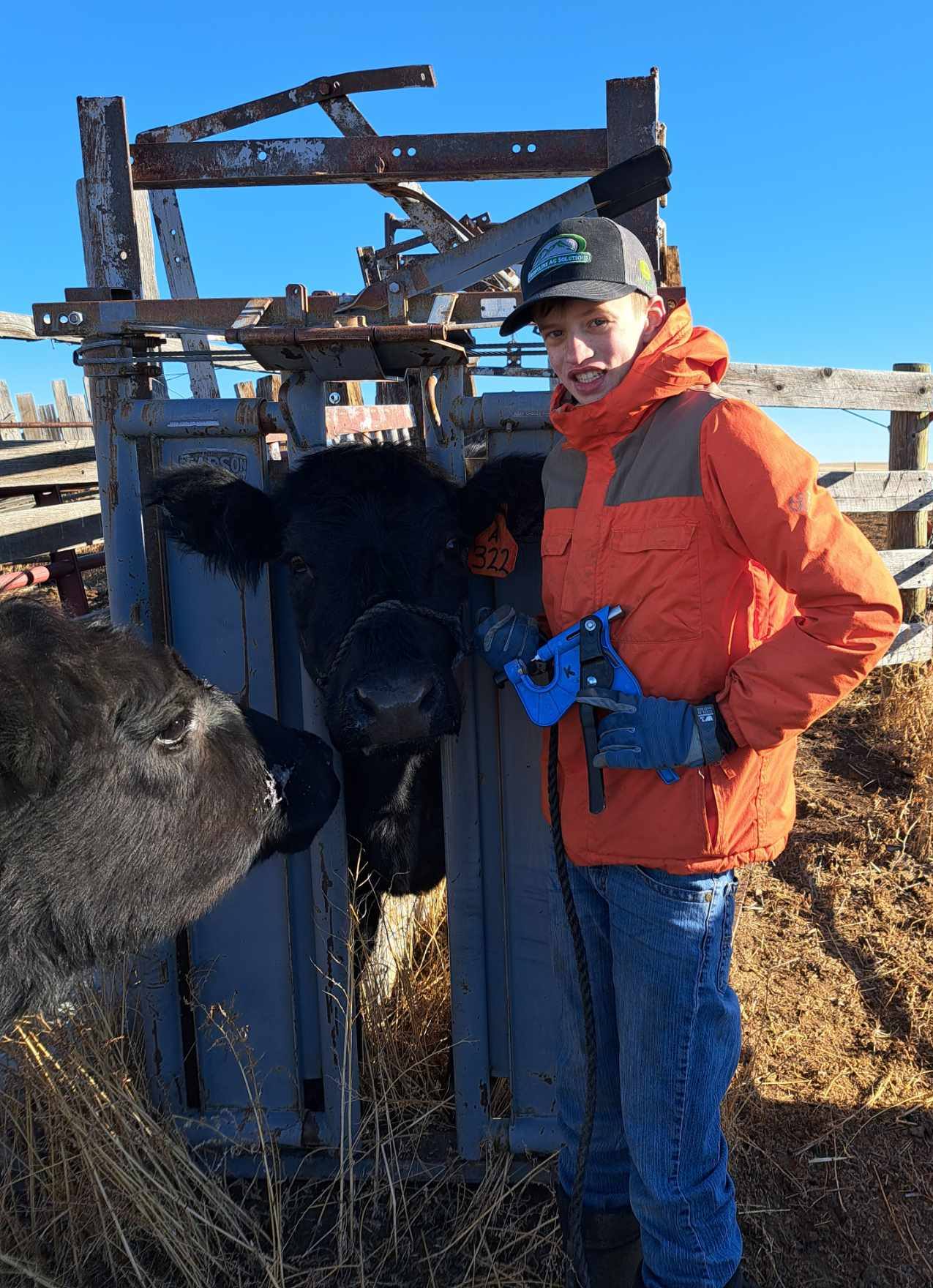 Alec Morrisett collected a Tissue Sample on his heifer for participation in the genomics project.